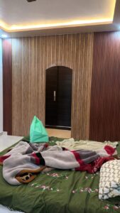 Fire-Resistant PVC Panels​